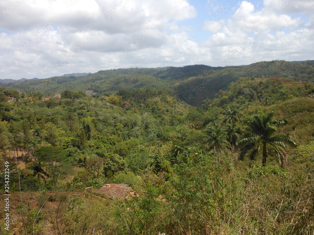 Kuba | im Dschungel bei Trinidad 