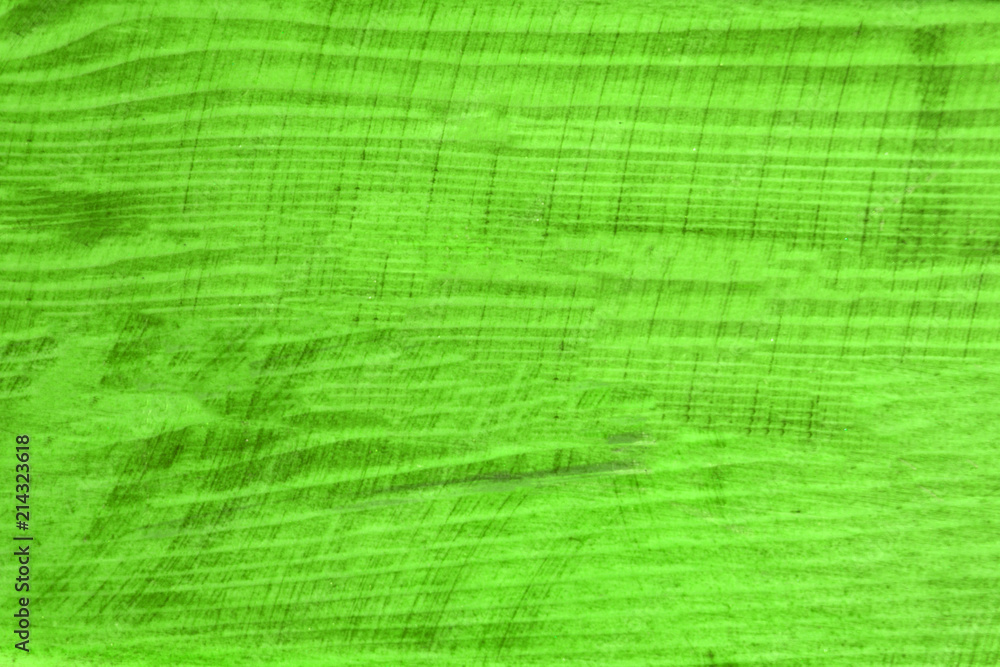 green abstract background with horizontal lines for nature,technology,fractal and dynamic designs . green abstract background with horizontal lines for nature,technology,fractal and dynamic designs .
