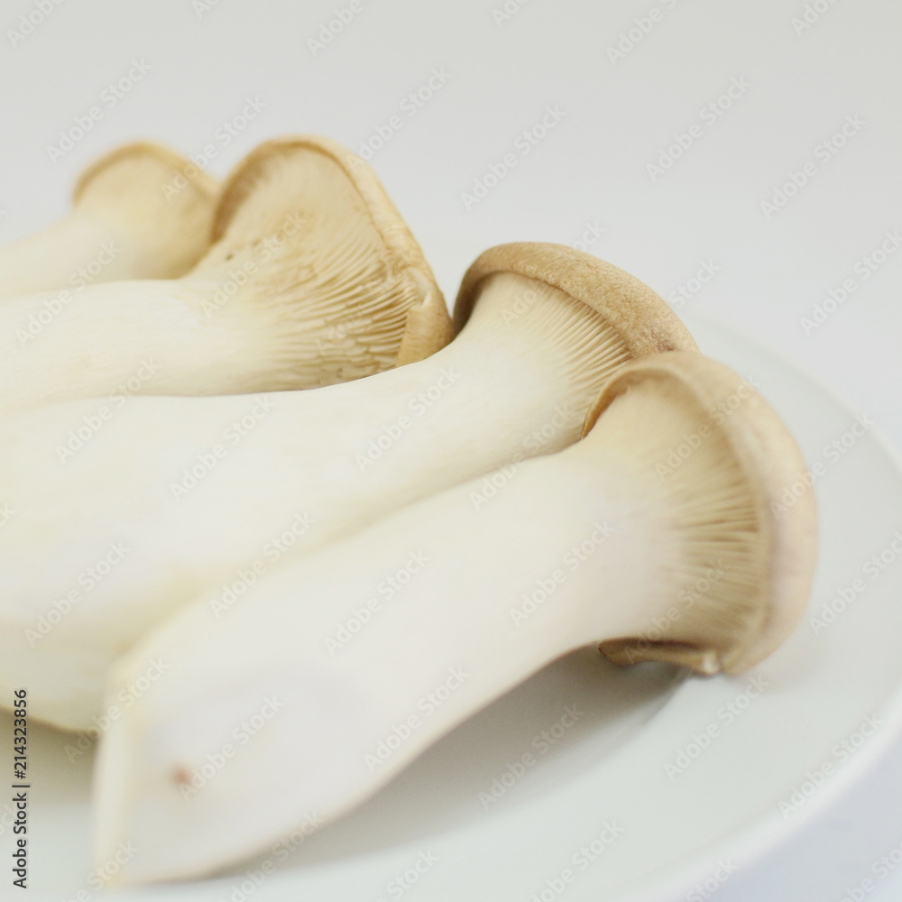 Fototapeta premium eringi mushroom