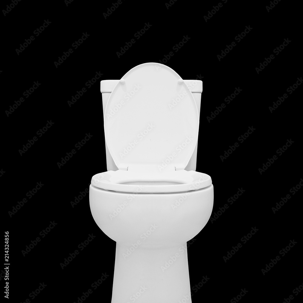 toilet bowl toilet bowl