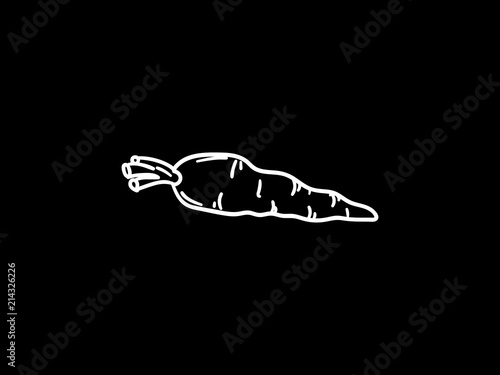 Carrot vector iliustration.