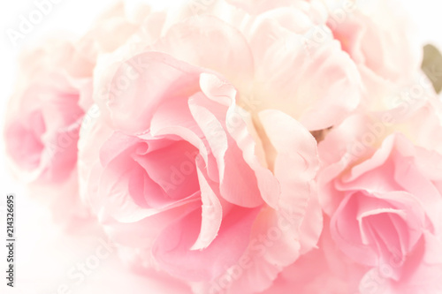 Sweet color roses in soft style for background © jintana