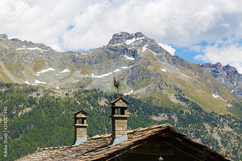 Italian Alps landscape, vibrant colors and summer flora