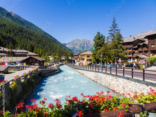 Italian Alps landscape, vibrant colors and summer flora