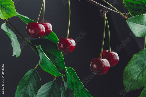 Branch of a red cherry with green leaves on a black background photo