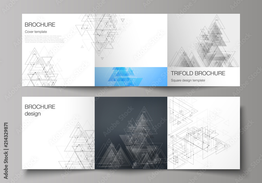 The minimal vector layout. Modern covers design templates for trifold square brochure or flyer. Polygonal background with triangles, connecting dots and lines. Connection structure.
