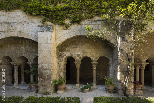 Cloister of the Monastery of San Paul de Mausole at Saint-Remy de Provence, where Van Gogh spent in 1889. Bouches du Rhone, Provence, France.