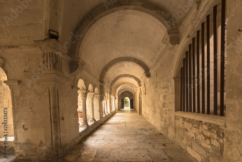 Cloister of the Monastery of San Paul de Mausole at Saint-Remy de Provence  where Van Gogh spent in 1889. Bouches du Rhone  Provence  France.