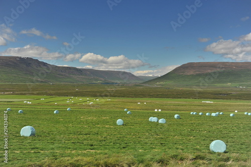 Iceland. Freshly cut grass bales wrapped in polyethylene