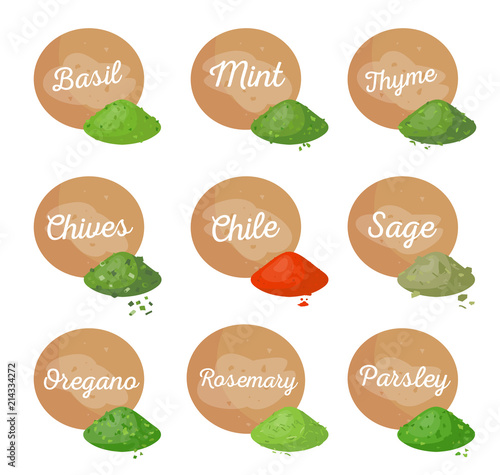 Basil Mint Spices Collection Vector Illustration