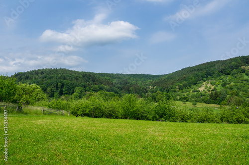 Germany, Nature landscape of mountainous forest near Stuttgart