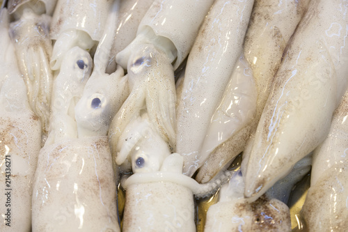 whole fresh calamares are offered in the fish market