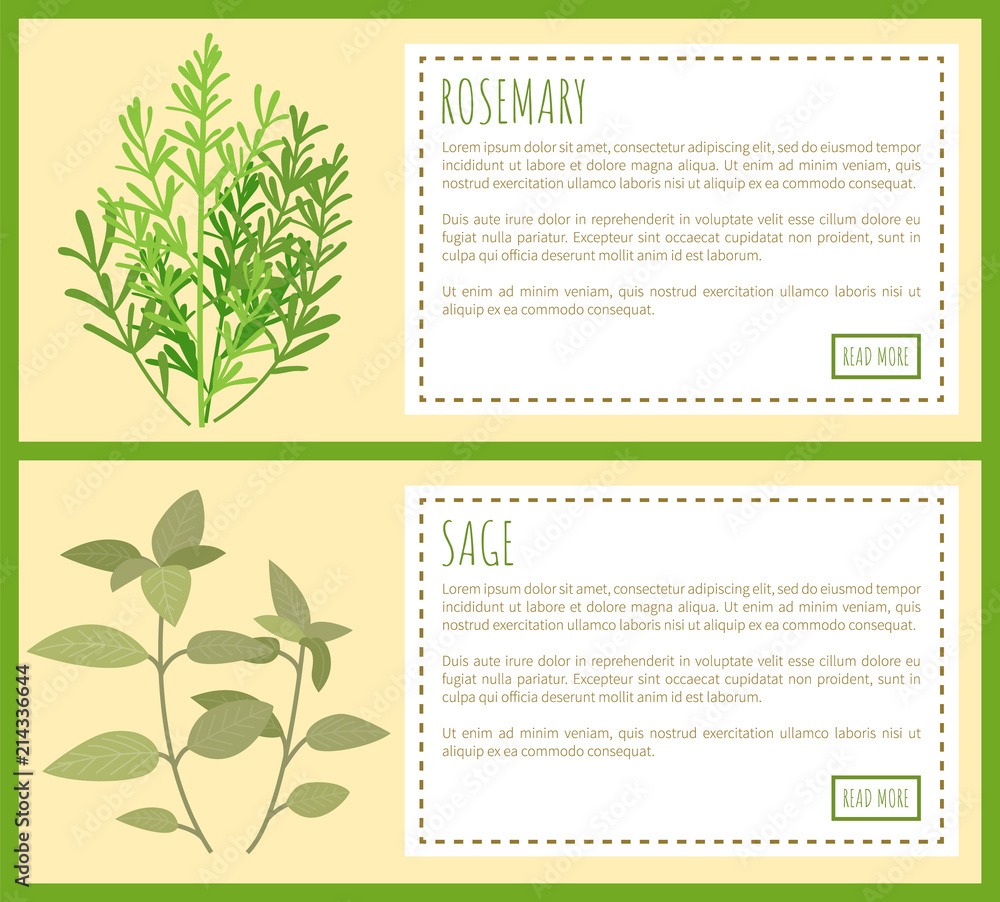 Rosemary and Sage Green Plant Spicy Condiments