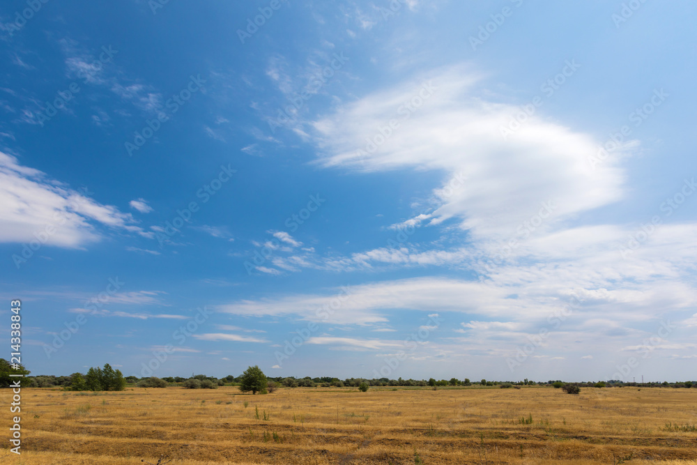 The Volgograd russian steppe or prairie in july with the oaks, grass and clouds. The typical summer landscape during the hot ry summer on the south of Russia