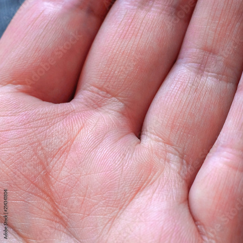 Close - up of human hand, the value of lines on the palm of texture, female hand © Андрей Михайлов