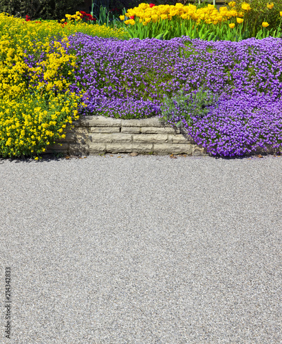 Schöne Gartenterrasse mit Tulpen und Blaukissen photo