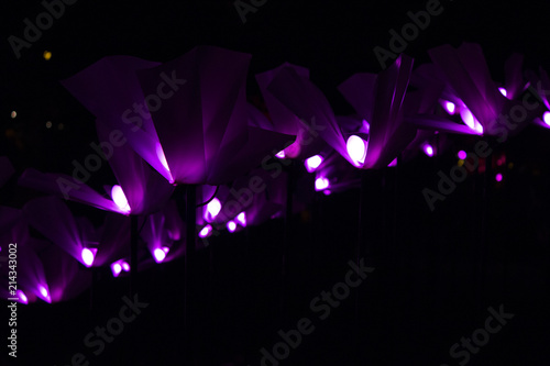 Purple Butterfly Lights