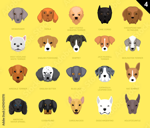 Dog Faces Icon Cartoon 4