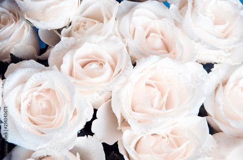 bunch of romantic flowers white roses like beautiful background 
