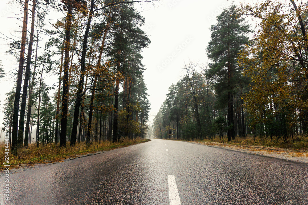 Fototapeta premium Wet empty asphalt road through forest in foggy rainy autumn day, highway in rural landscape
