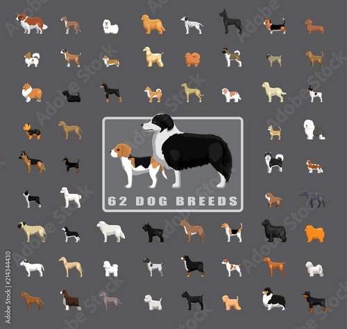 Various Dog Breeds Side View