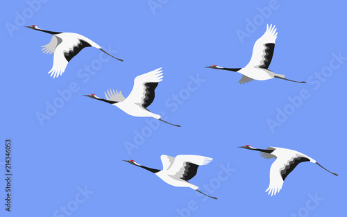 Flying Japanese Stork Flock