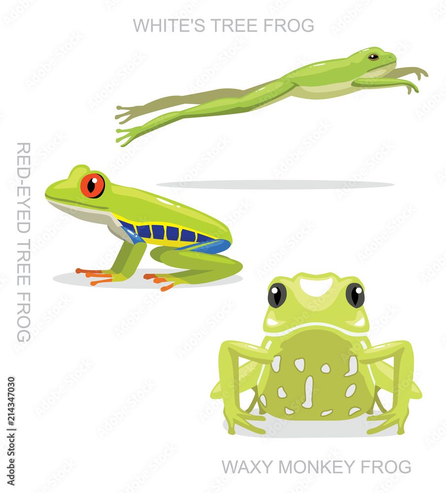 Red-Eyed Tree Frog Set Cartoon Vector Illustration Stock Vector | Adobe  Stock