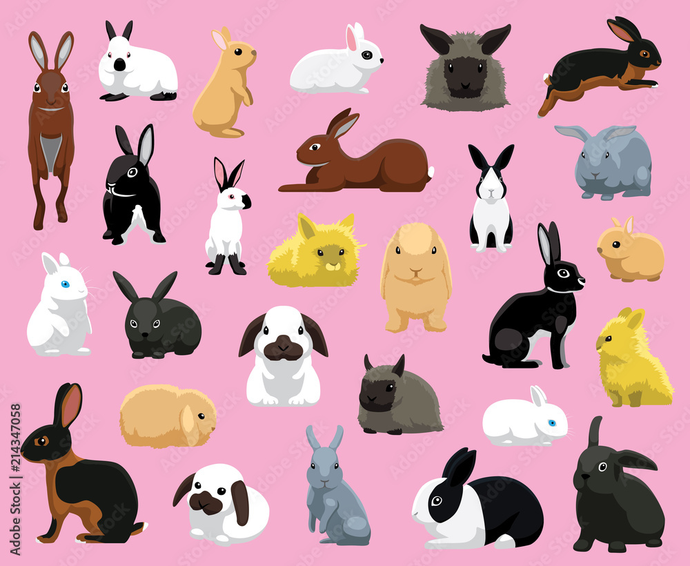 Fototapeta premium Ilustracja wektorowa kreskówka różnych ras królików domowych