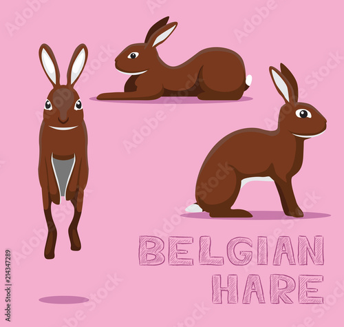 Rabbit Belgian Hare Cartoon Vector Illustration