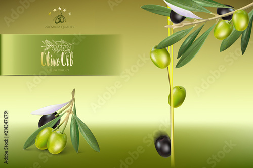 Design of advertising posters, postcards, labels for products from olives