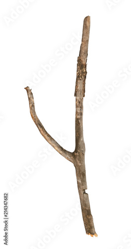 Broken tree stick isolated on white background