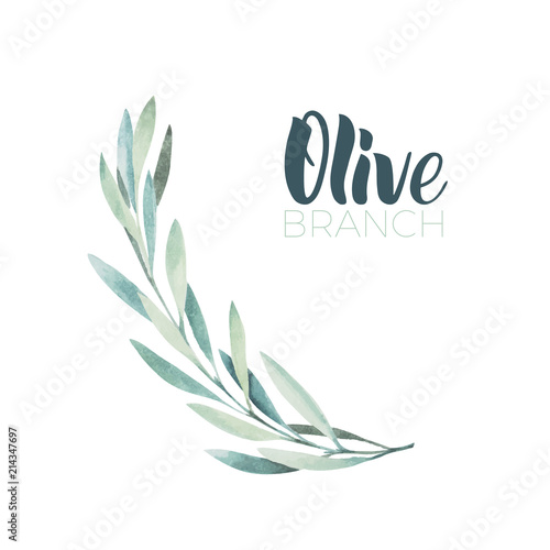 Watercolor olive branch. Sketch of olive branch on white background