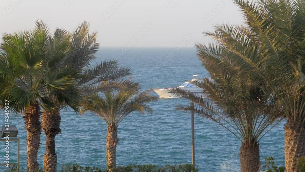 yachts are floating along coast with tropical palm trees, view from shore yachts are floating along coast with tropical palm trees, view from shore