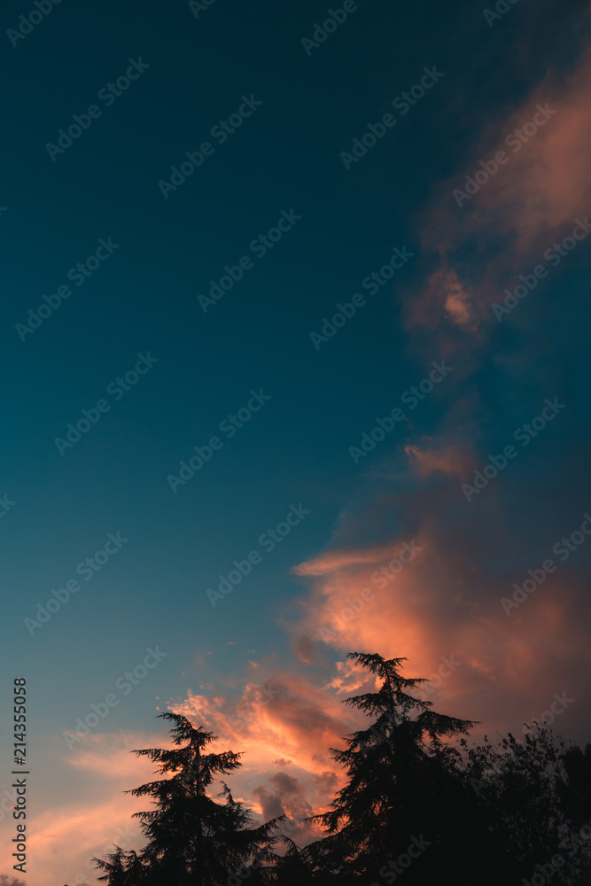 Sunset over a forest