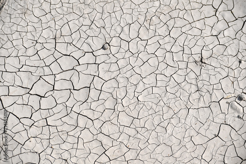 Deep cracks in the white, dry soil.