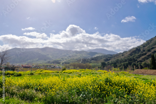 cenes de la vega