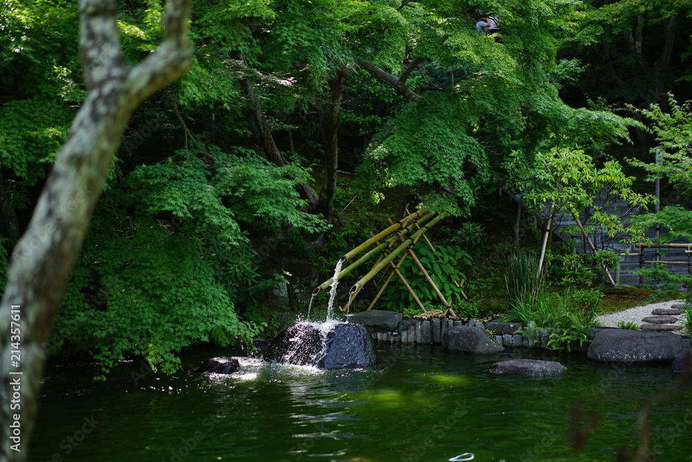 鎌倉の寺の庭