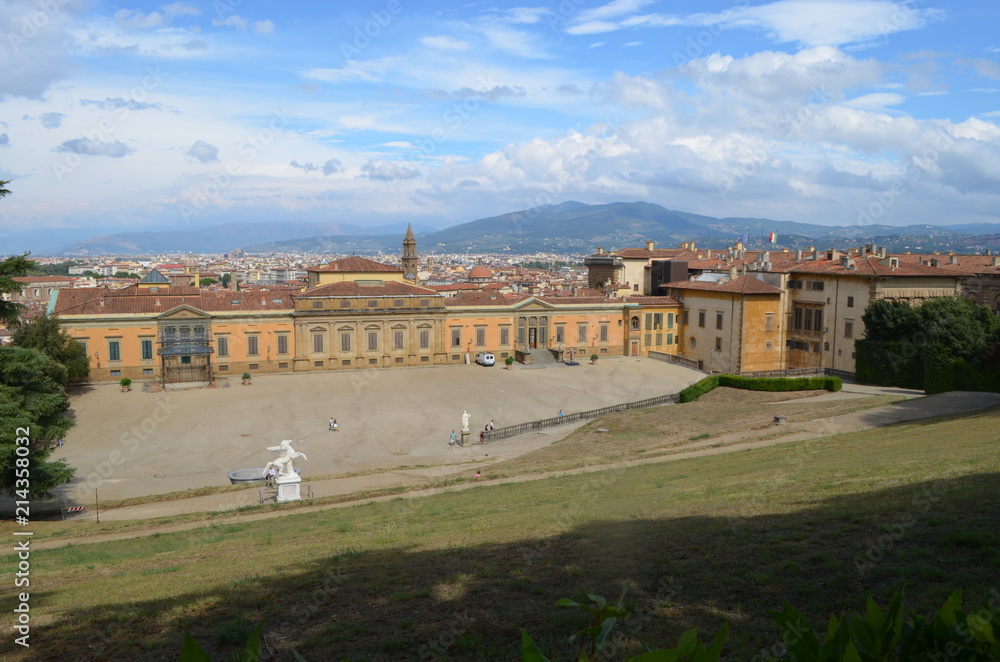 Fototapeta premium view of the medieval city from the height of the florence