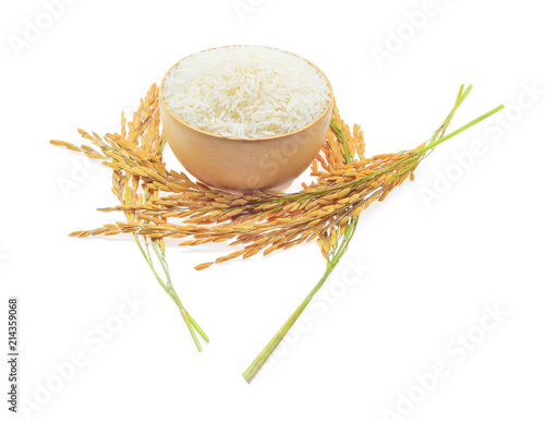 ear of paddy with Thai jasmine rice  in  the wooden cup,ears of Thai jasmine rice isolated on white background