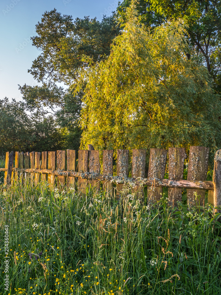 An old wooden fence