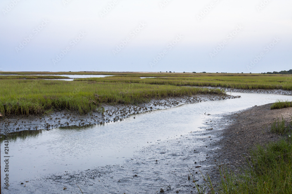 Intracoastal Waterway Marsh at Low Tide