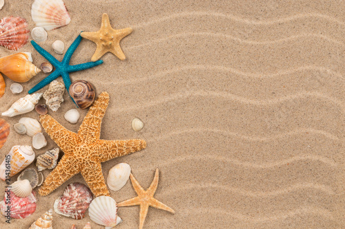 Top view sand dunes with seashells and starfish as blank background.