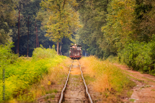 Autumn Gemenc forest railway photo