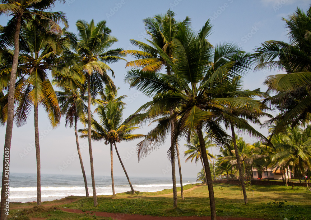 Fototapeta premium Varkala, Bundesstaat Kerala, Südindien, Asien