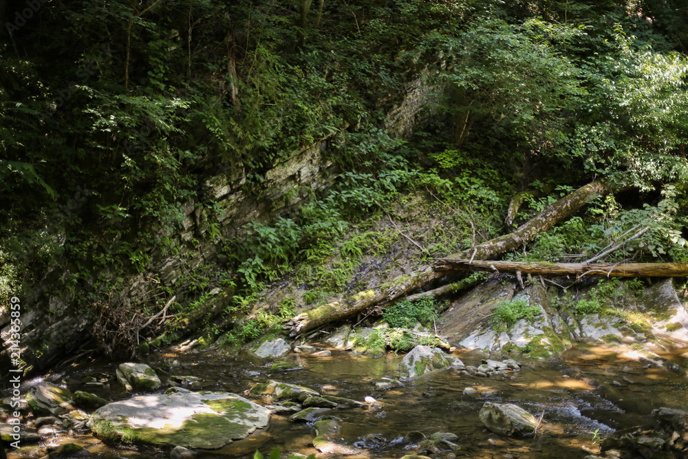 Beautiful Landscape Scenery Rocky River Flowing Through a Virginia Forest with Mountains Beautiful Landscape Scenery Rocky River Flowing Through a Virginia Forest with Mountains