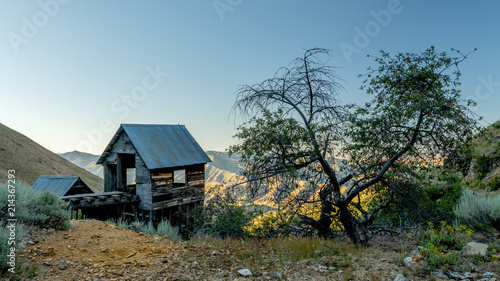 Fototapeta Naklejka Na Ścianę i Meble -  Old gold mining shack in the Idaho wilderness at sunrise