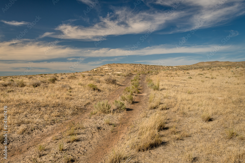 Tracks of a dirt road lead through the desert in the a blue cloudy sky Tracks of a dirt road lead through the desert in the a blue cloudy sky