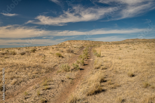 Tracks of a dirt road lead through the desert in the a blue cloudy sky