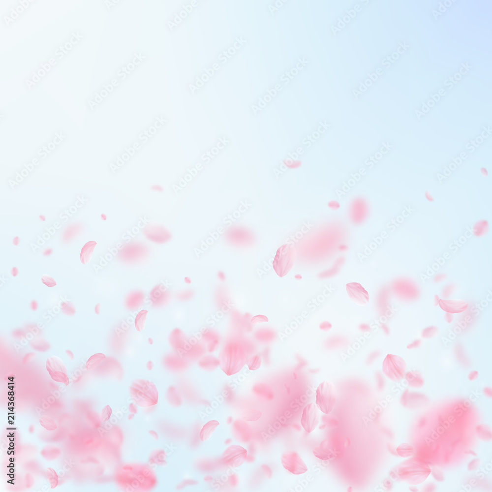 Sakura petals falling down. Romantic pink flowers gradient. Flying petals on blue sky square background. 
