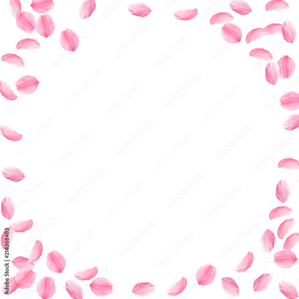 Sakura petals falling down. Romantic pink silky medium flowers. Sparse flying cherry petals. Corner frame emotional vector background. 